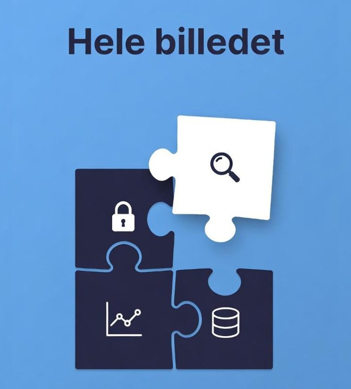 hele billedet